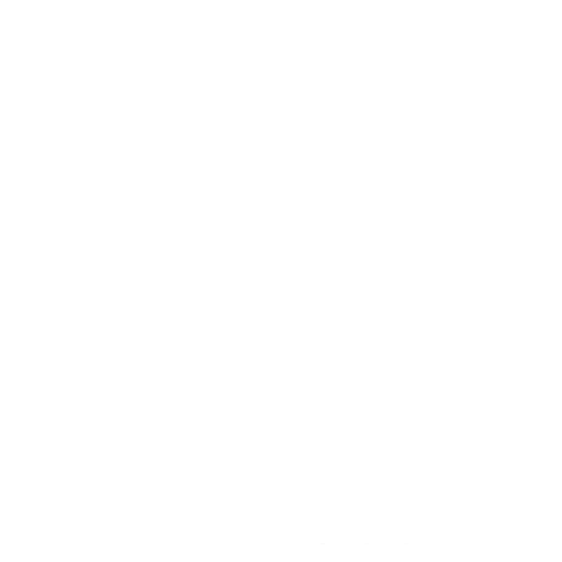 Entropy